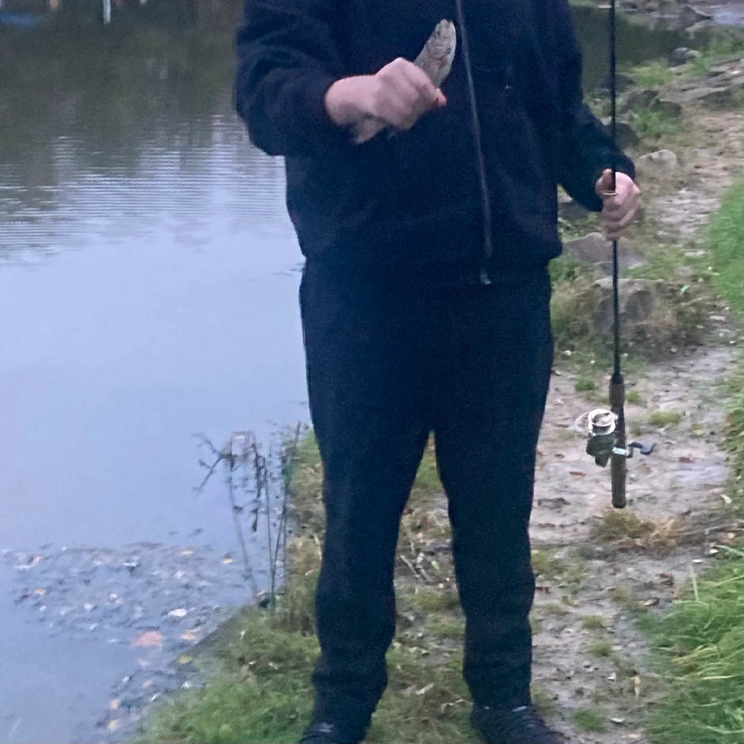 Rainbow trout caught on Fishbrain