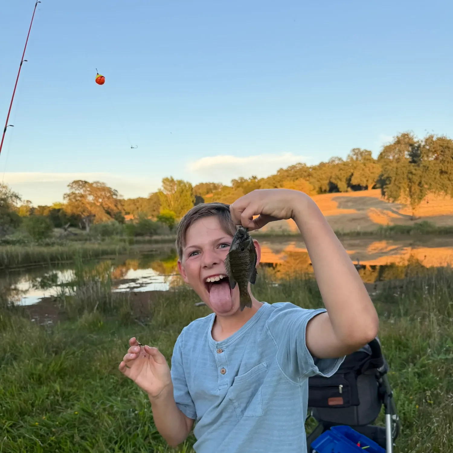 catch