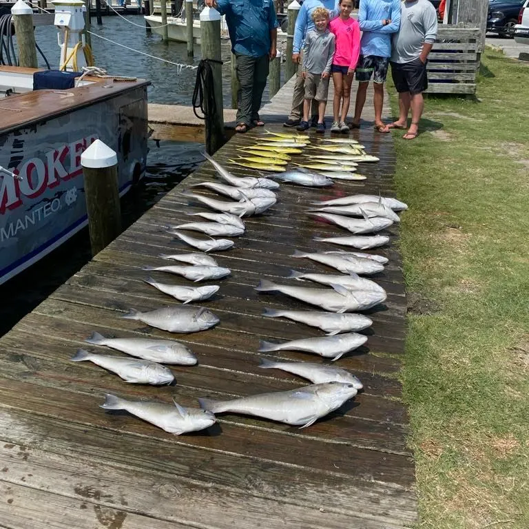 The most recent Great northern tilefish catches on Fishbrain