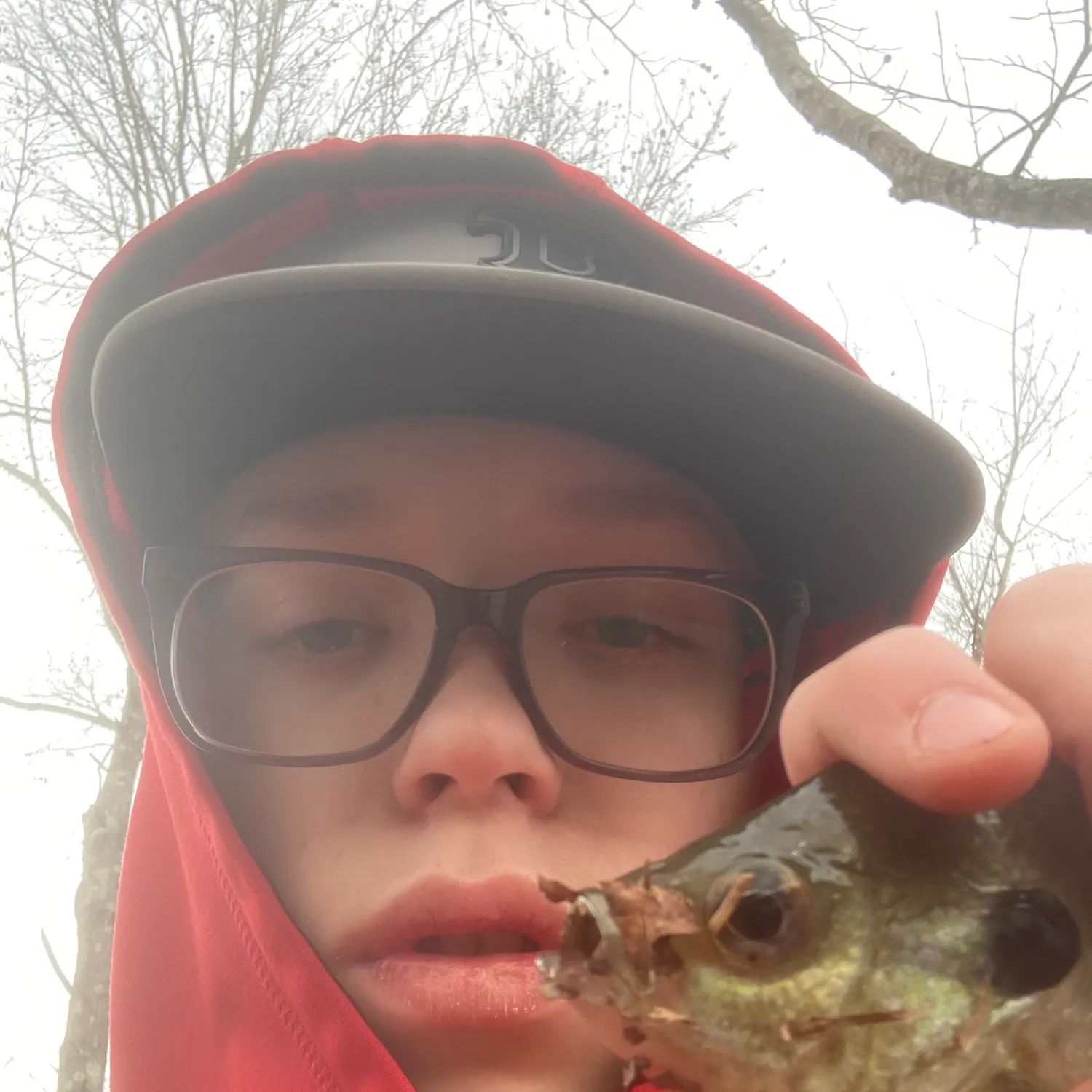 The most recent Redear sunfish catches on Fishbrain