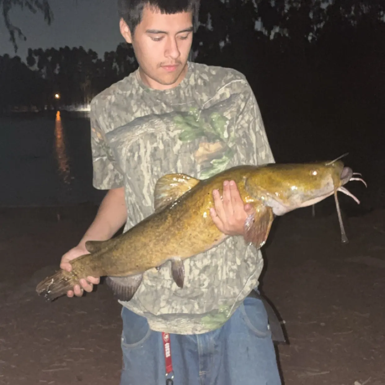 Flathead catfish caught on Fishbrain