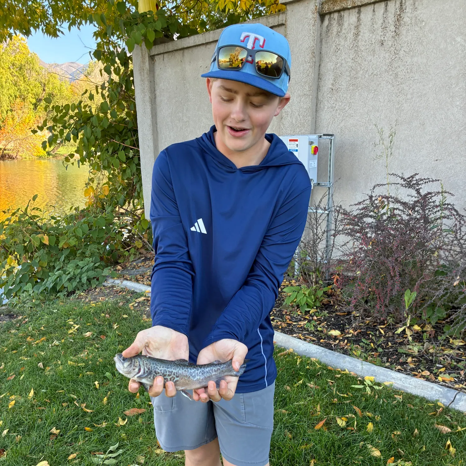 Tiger trout caught on Fishbrain