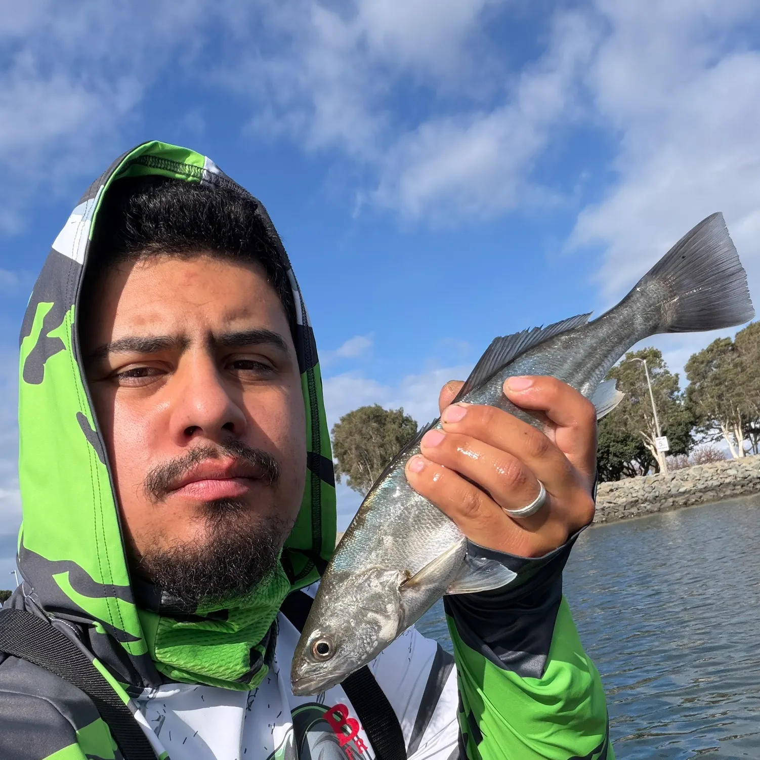 The most recent Shortfin corvina catches on Fishbrain