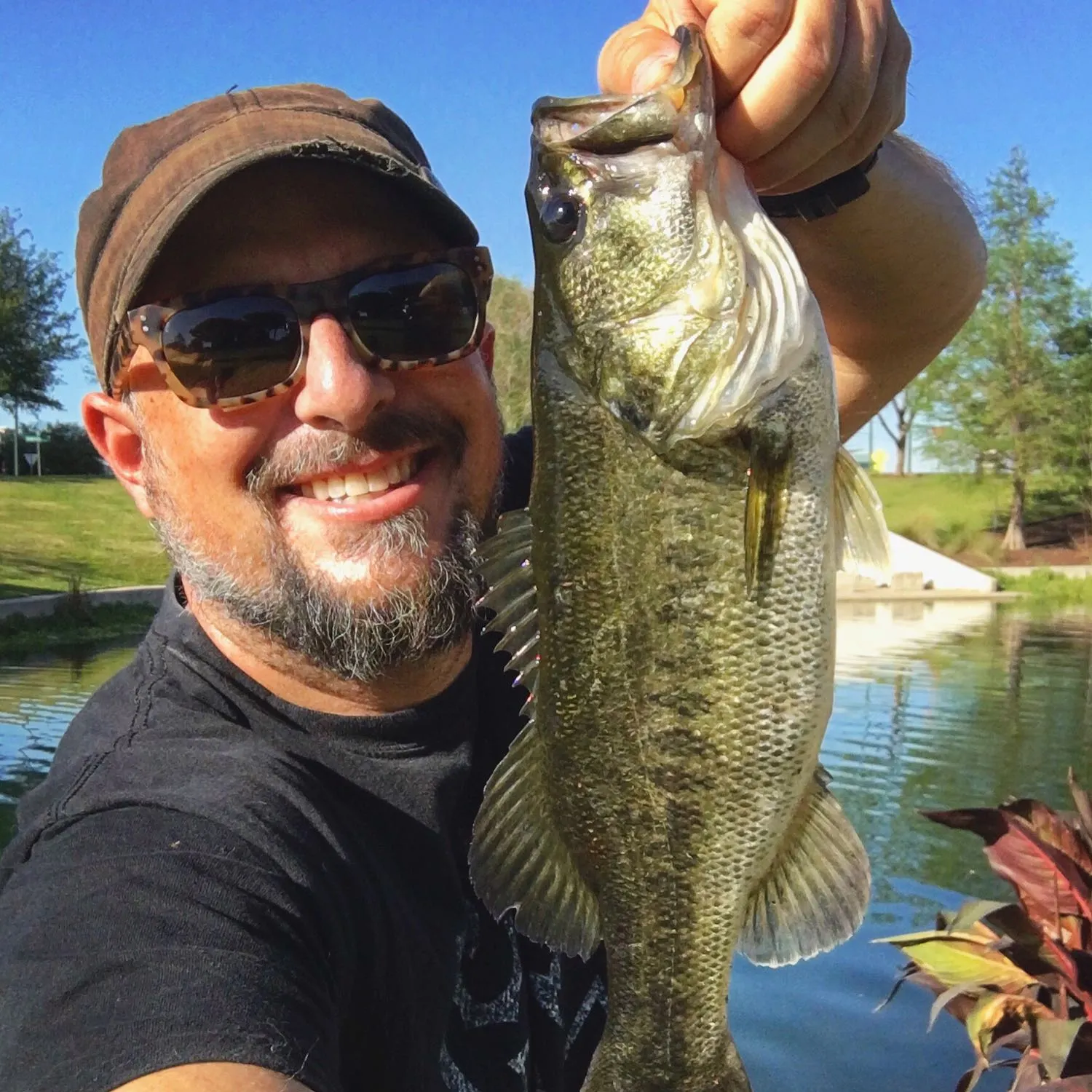 angler catch