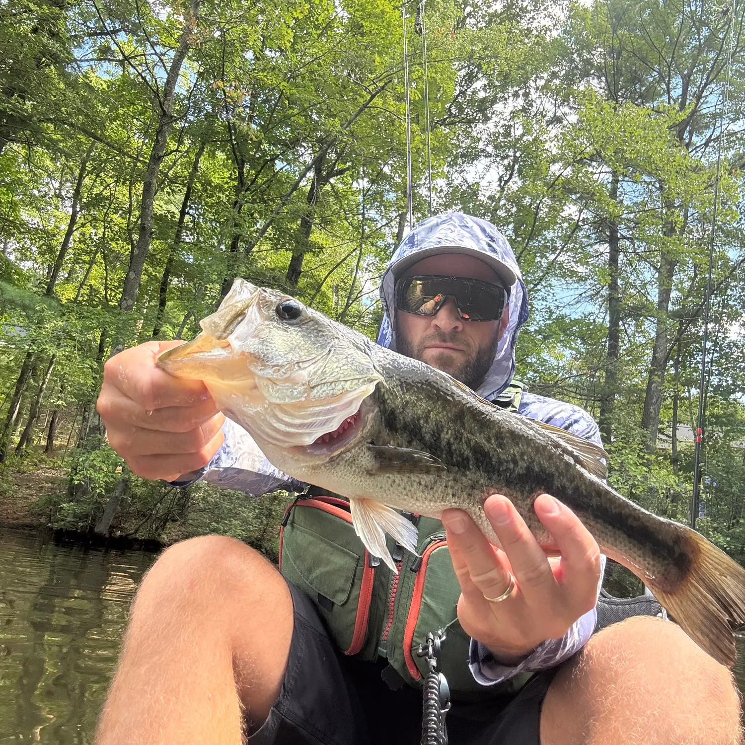 Largemouth bass caught on Fishbrain