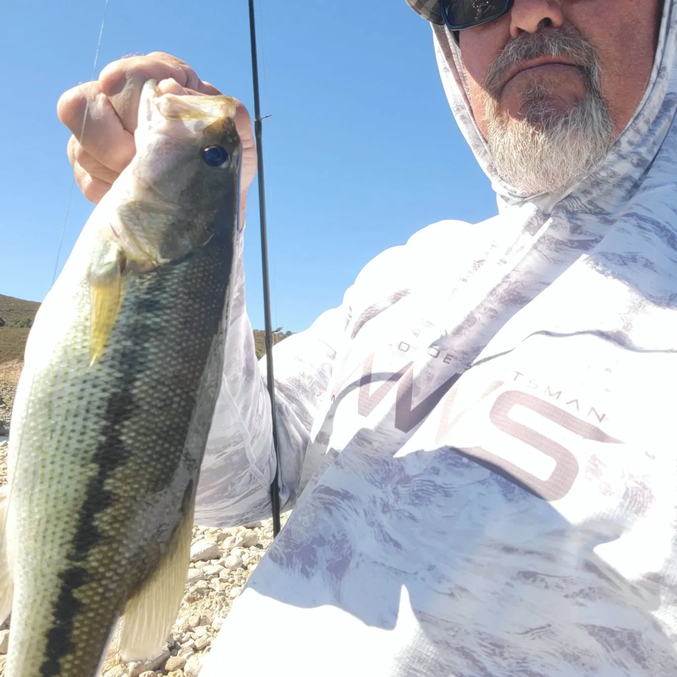 Spotted bass caught on Fishbrain