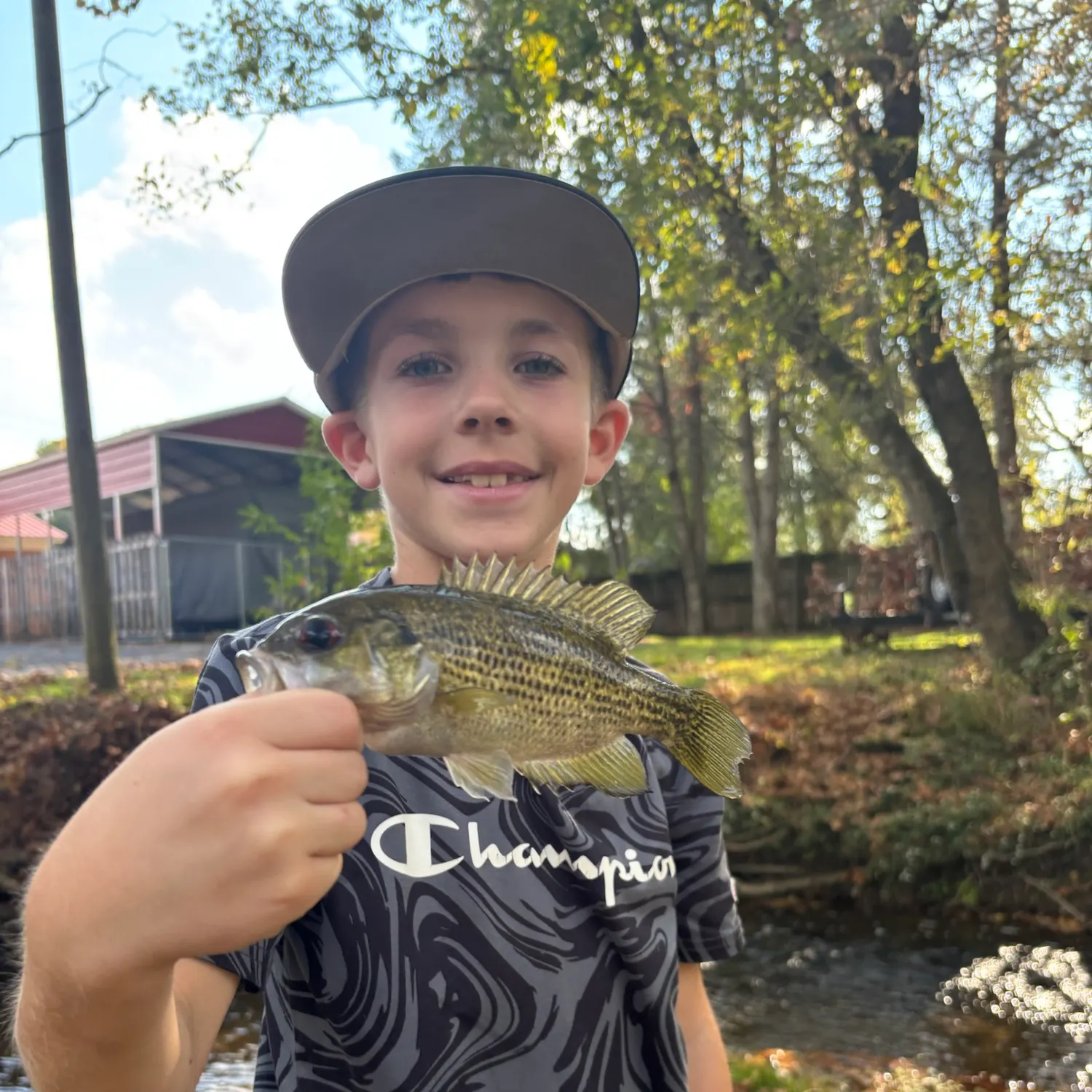 The most recent Redeye bass catches on Fishbrain