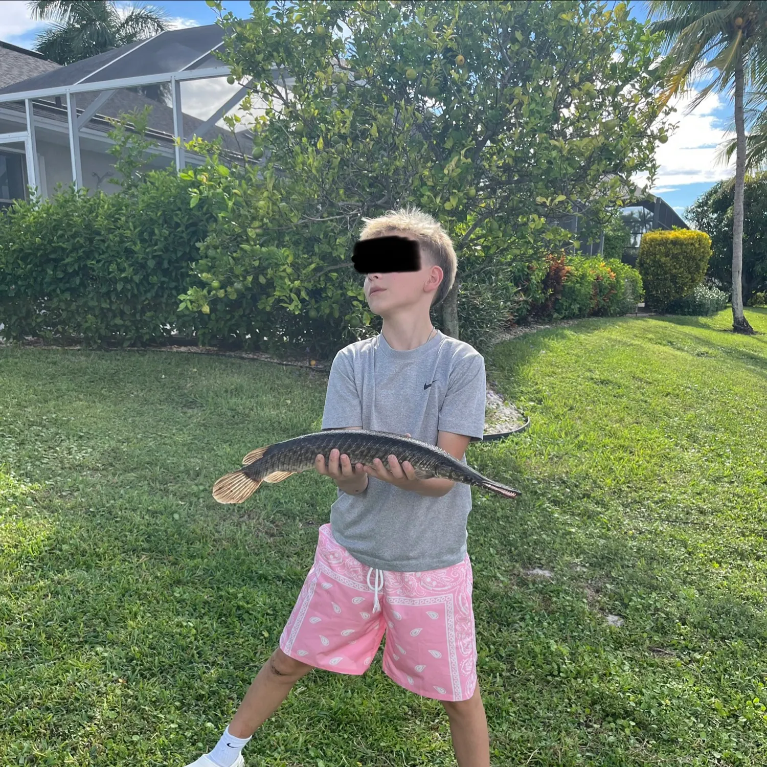Spotted gar caught on Fishbrain