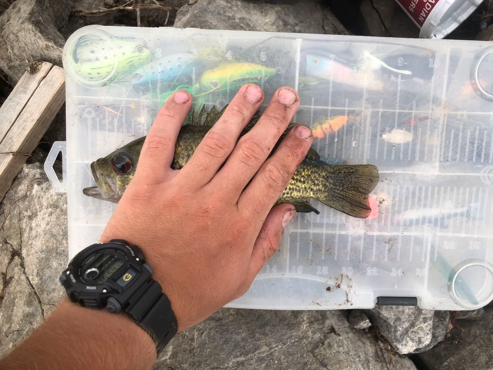 Post image from DCJ01