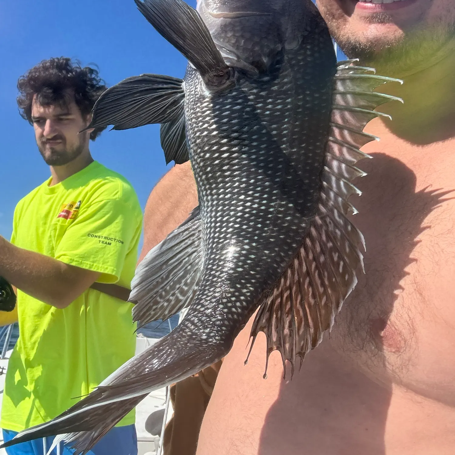 Black sea bass caught on Fishbrain