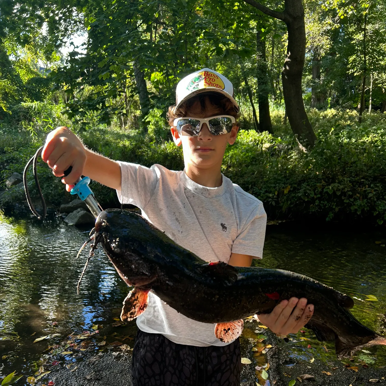 Channel catfish caught on Fishbrain