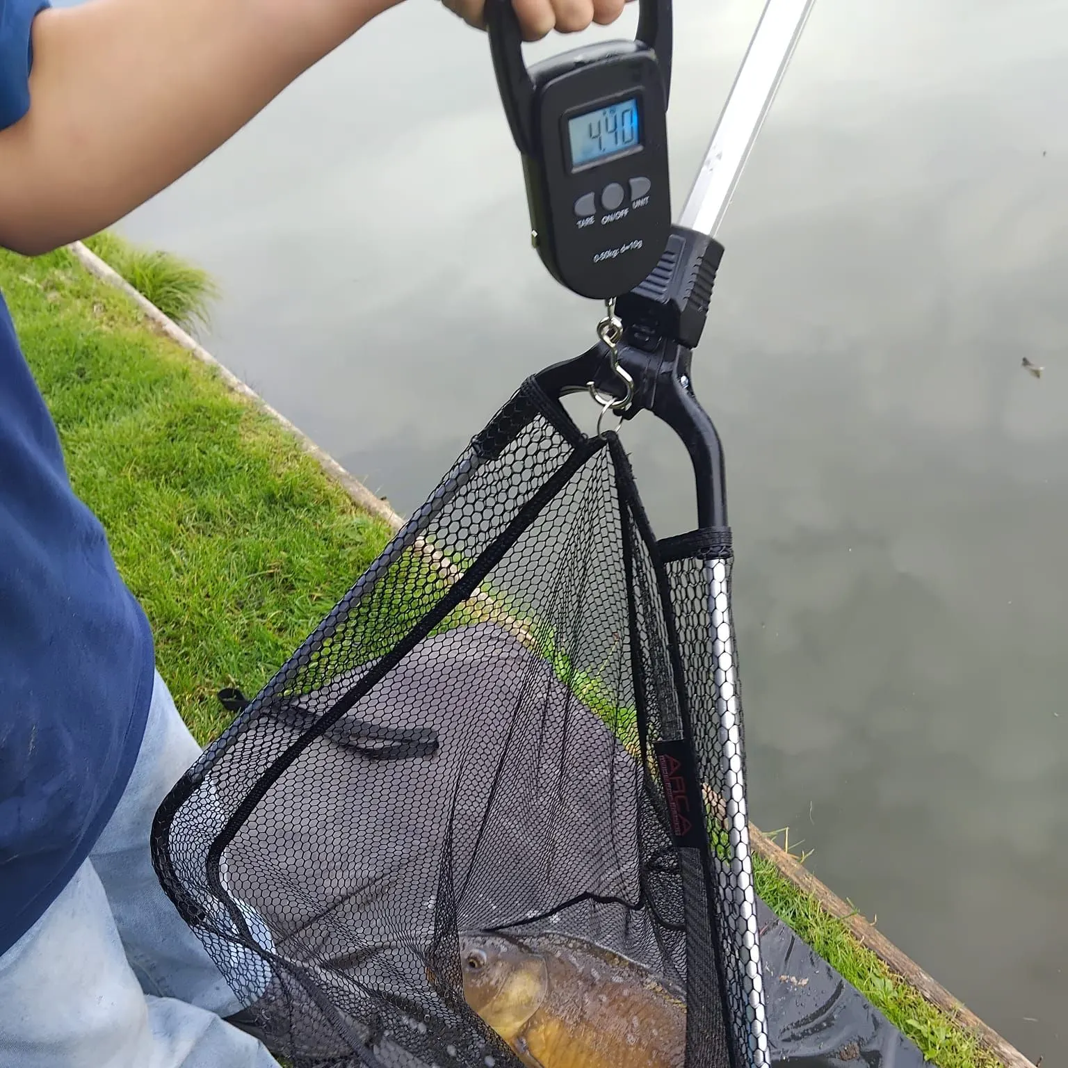Mirror carp caught on Fishbrain