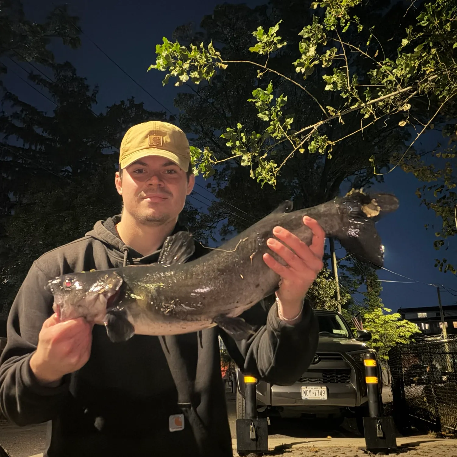Channel catfish caught on Fishbrain