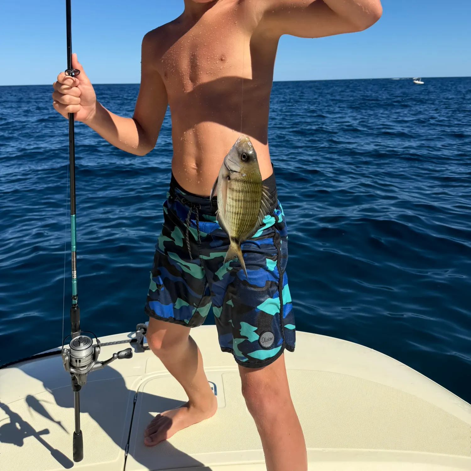 White seabream caught on Fishbrain