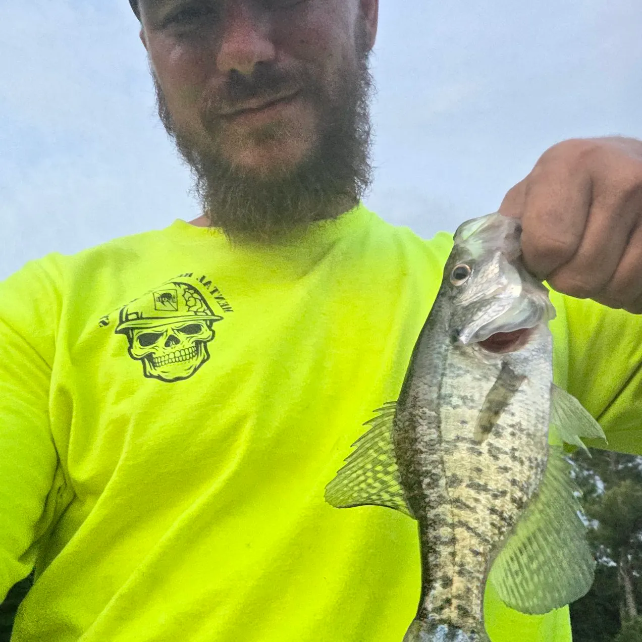 White crappie caught on Fishbrain