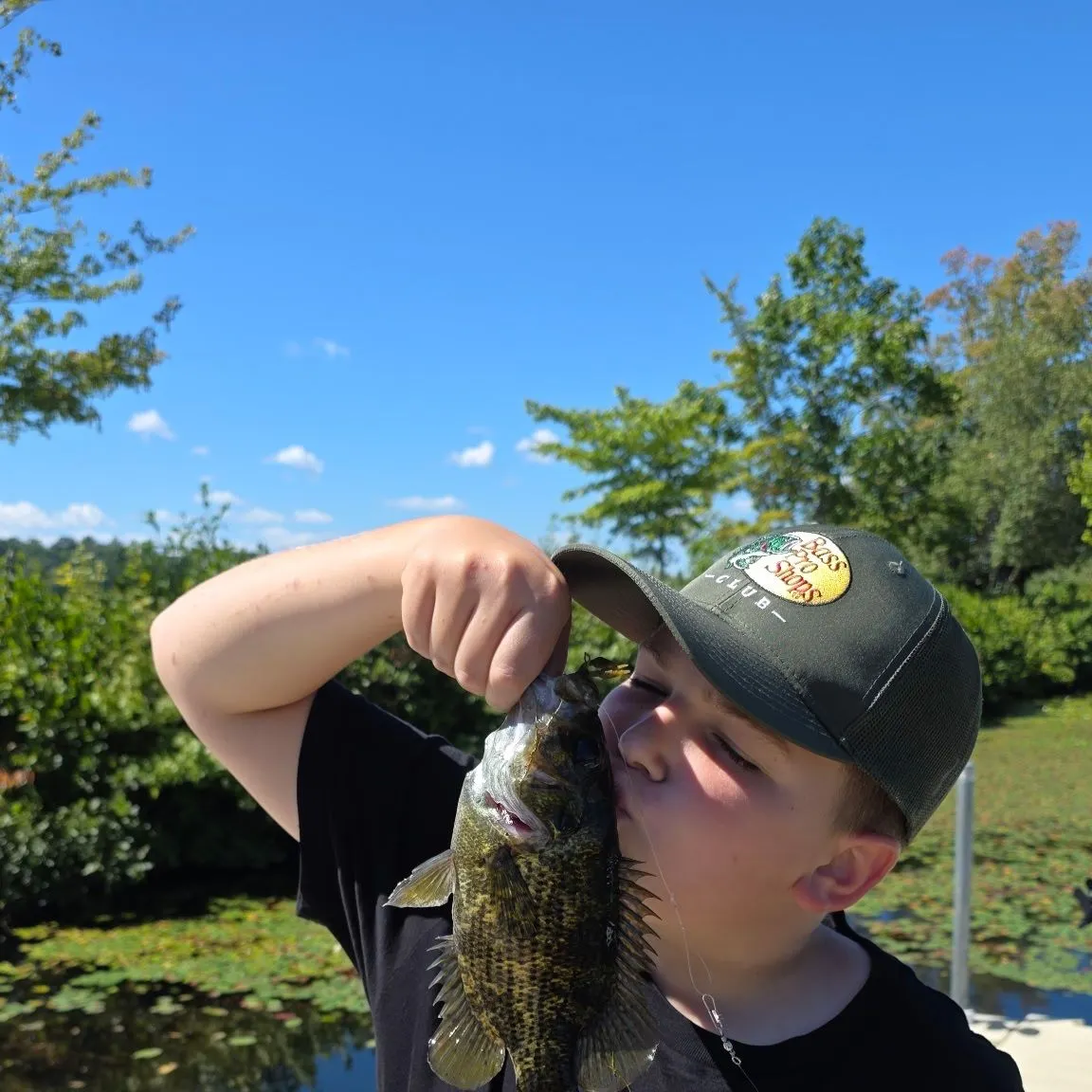 Rock bass caught on Fishbrain