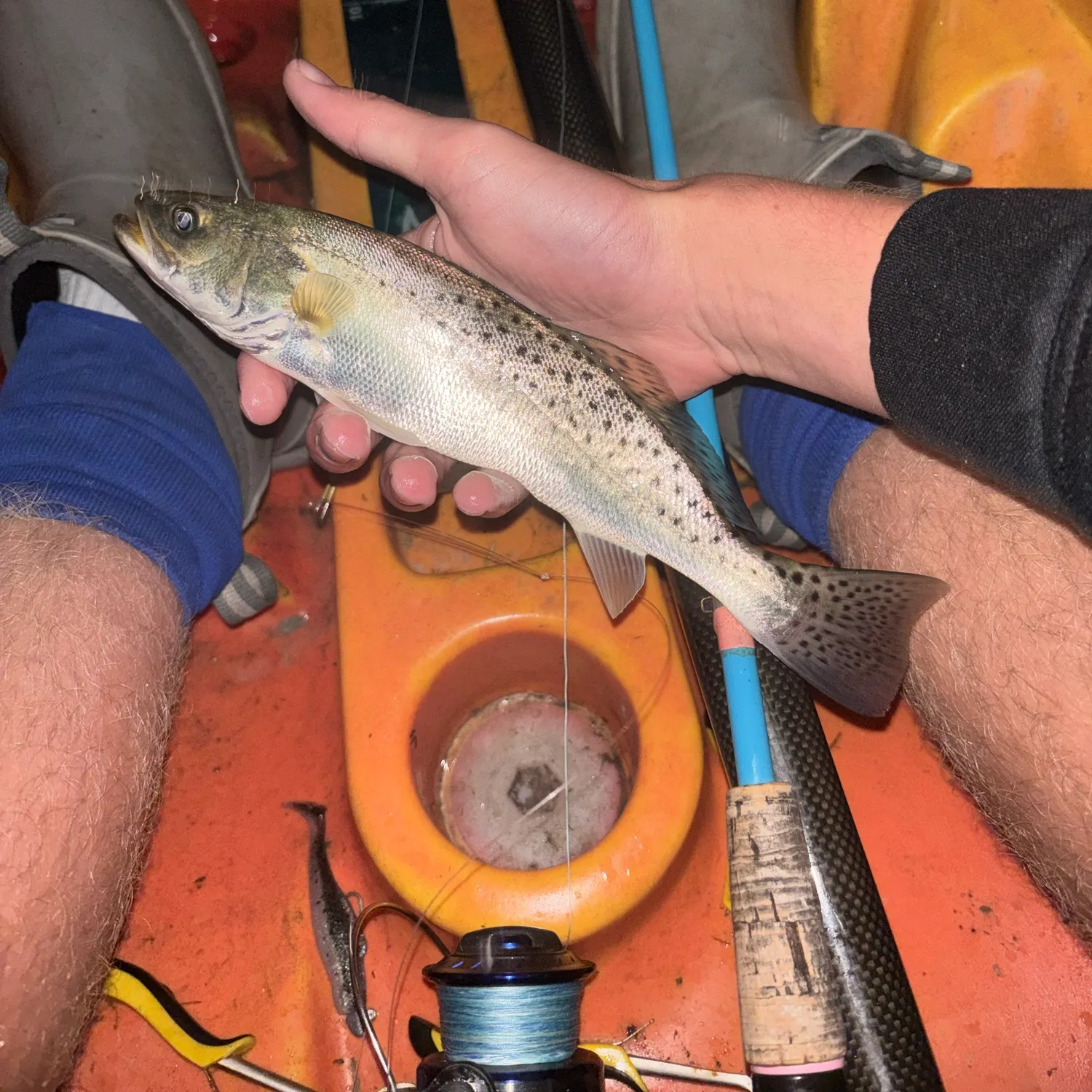 Spotted seatrout caught on Fishbrain