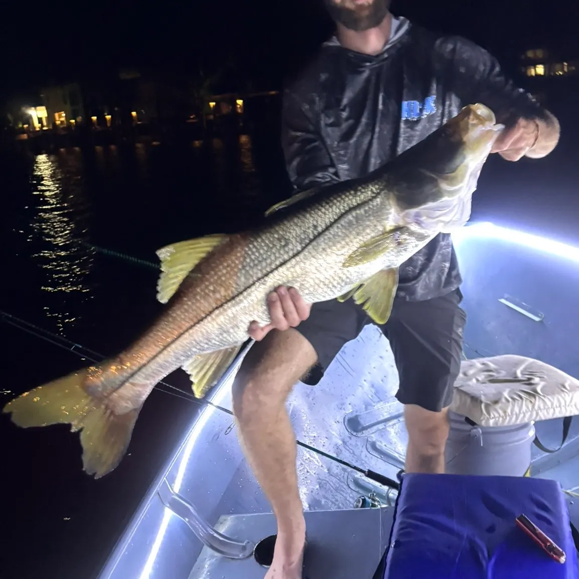 Common snook caught on Fishbrain