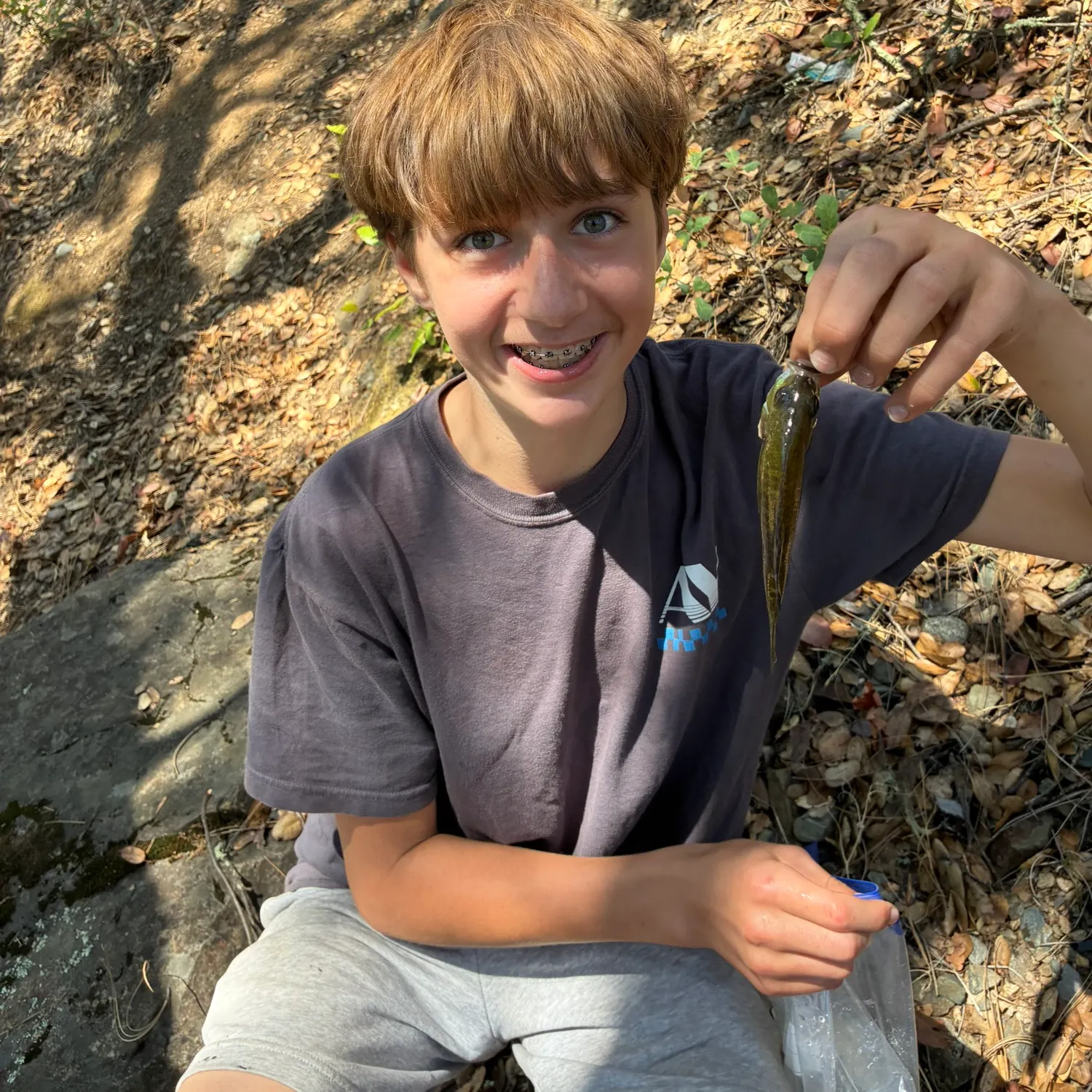 Fish caught on Fishbrain
