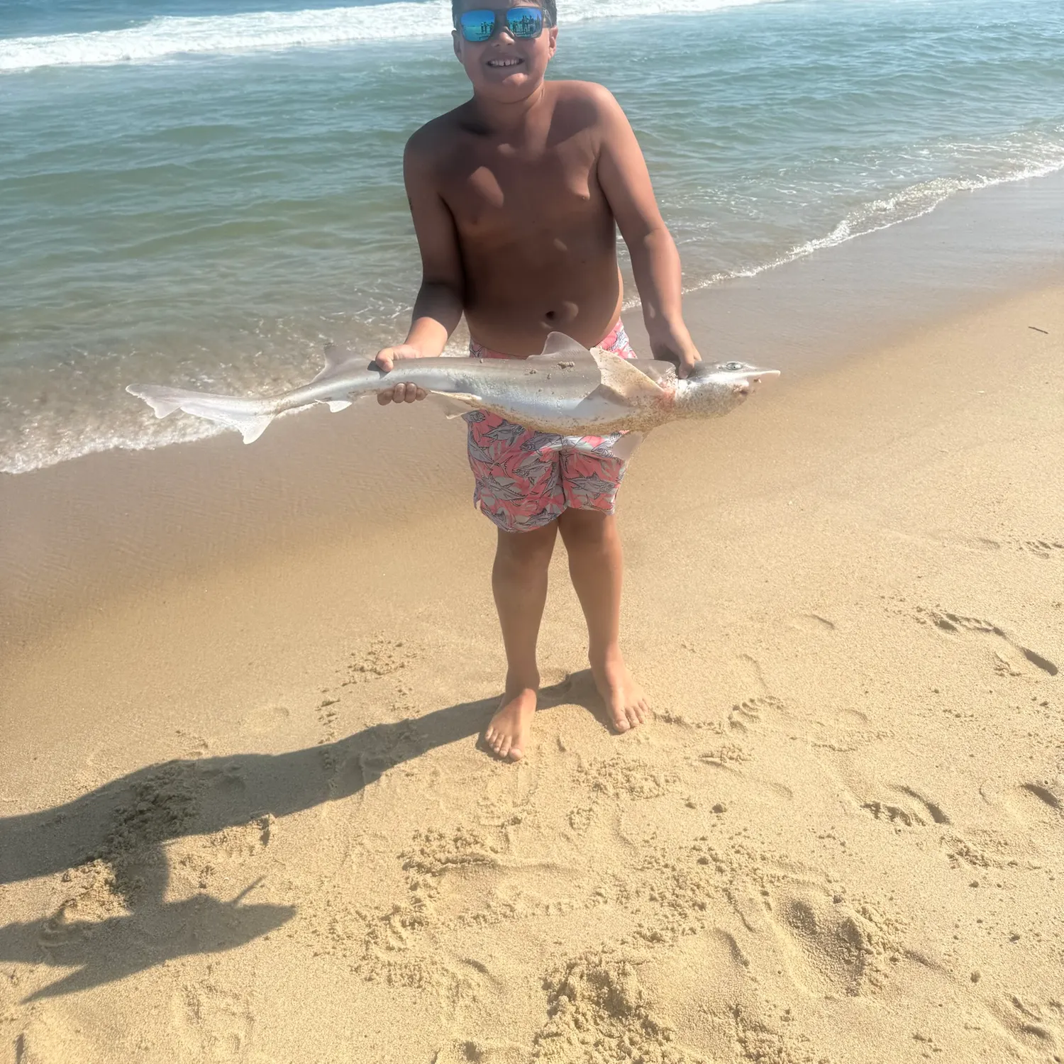 Piked dogfish caught on Fishbrain