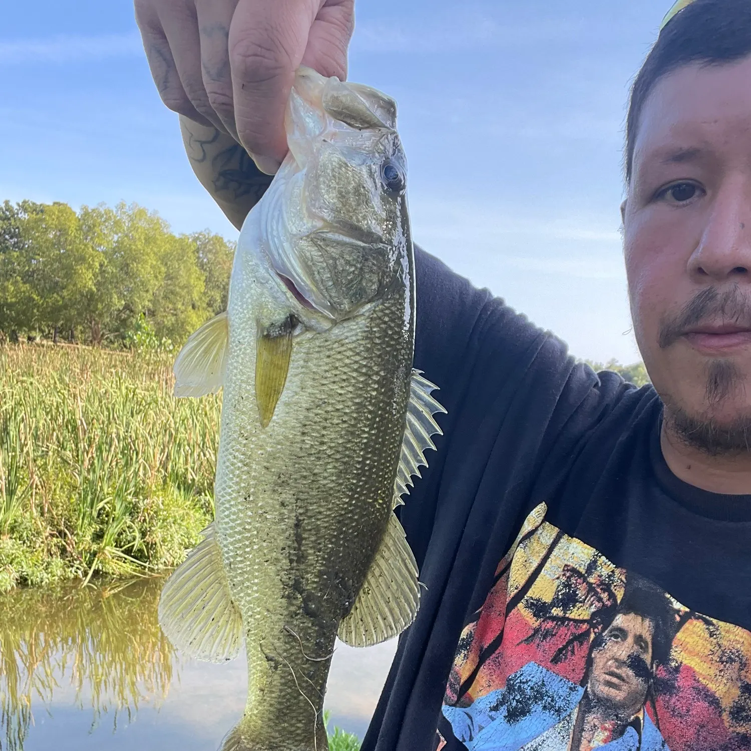 Largemouth bass caught on Fishbrain