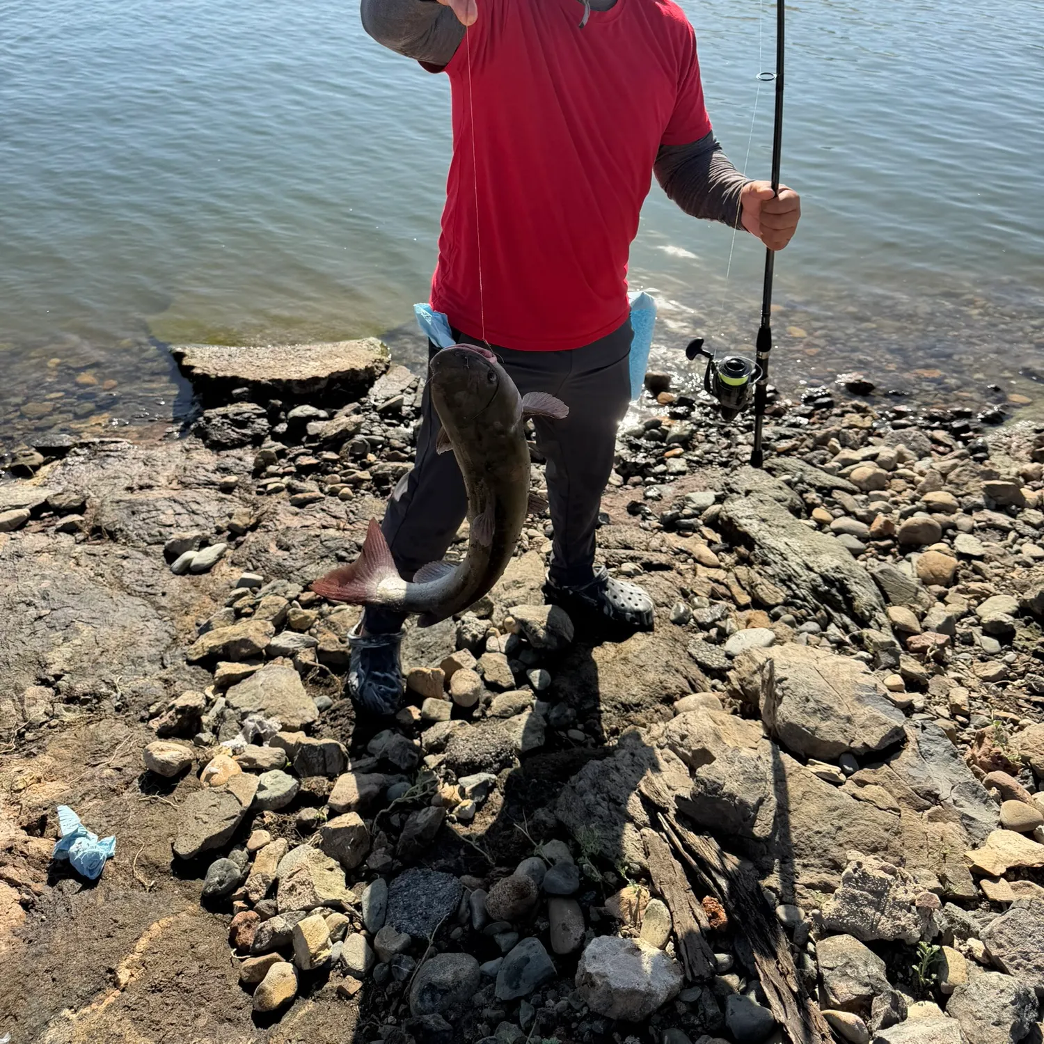 Channel catfish caught on Fishbrain