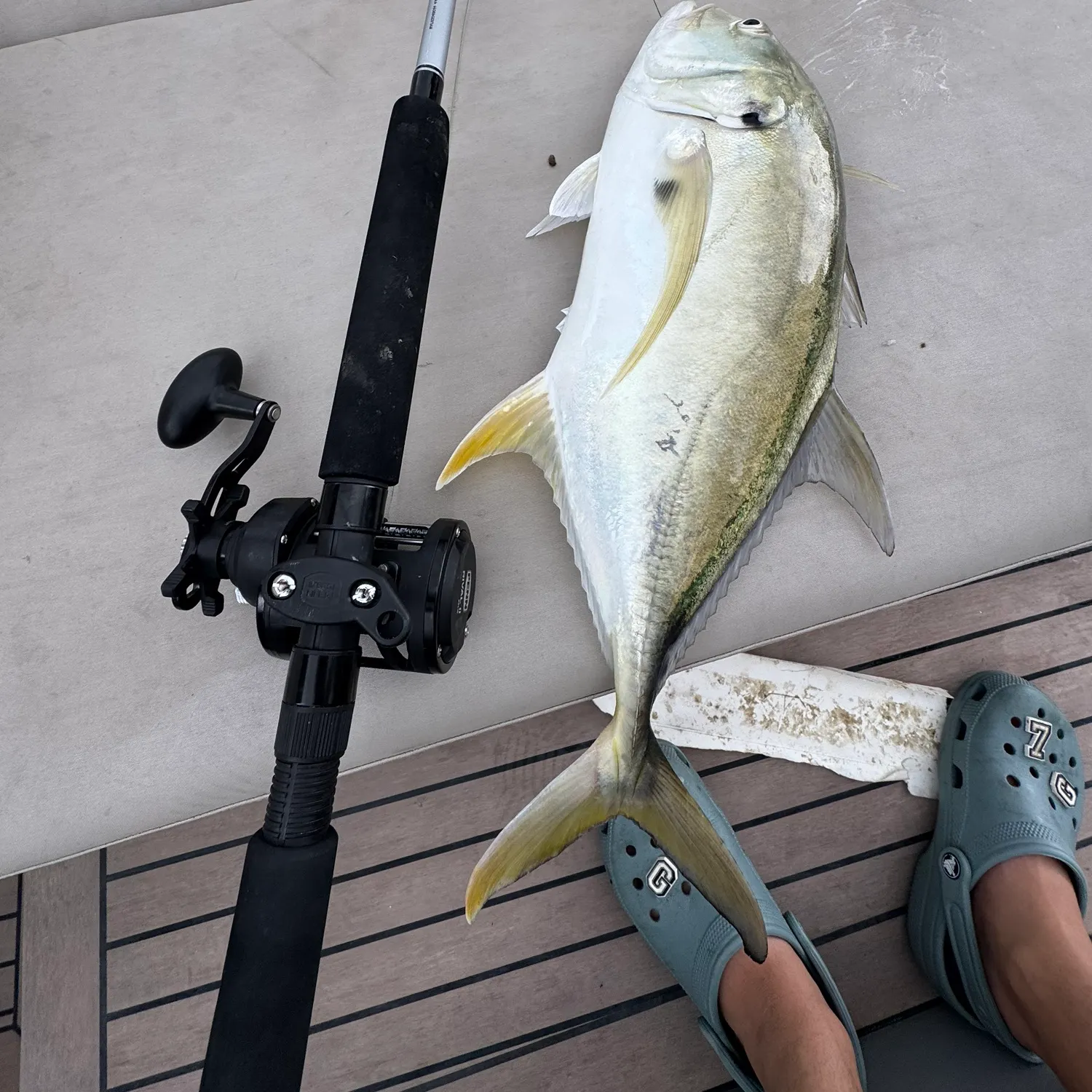 The most recent Crevalle jack catches on Fishbrain