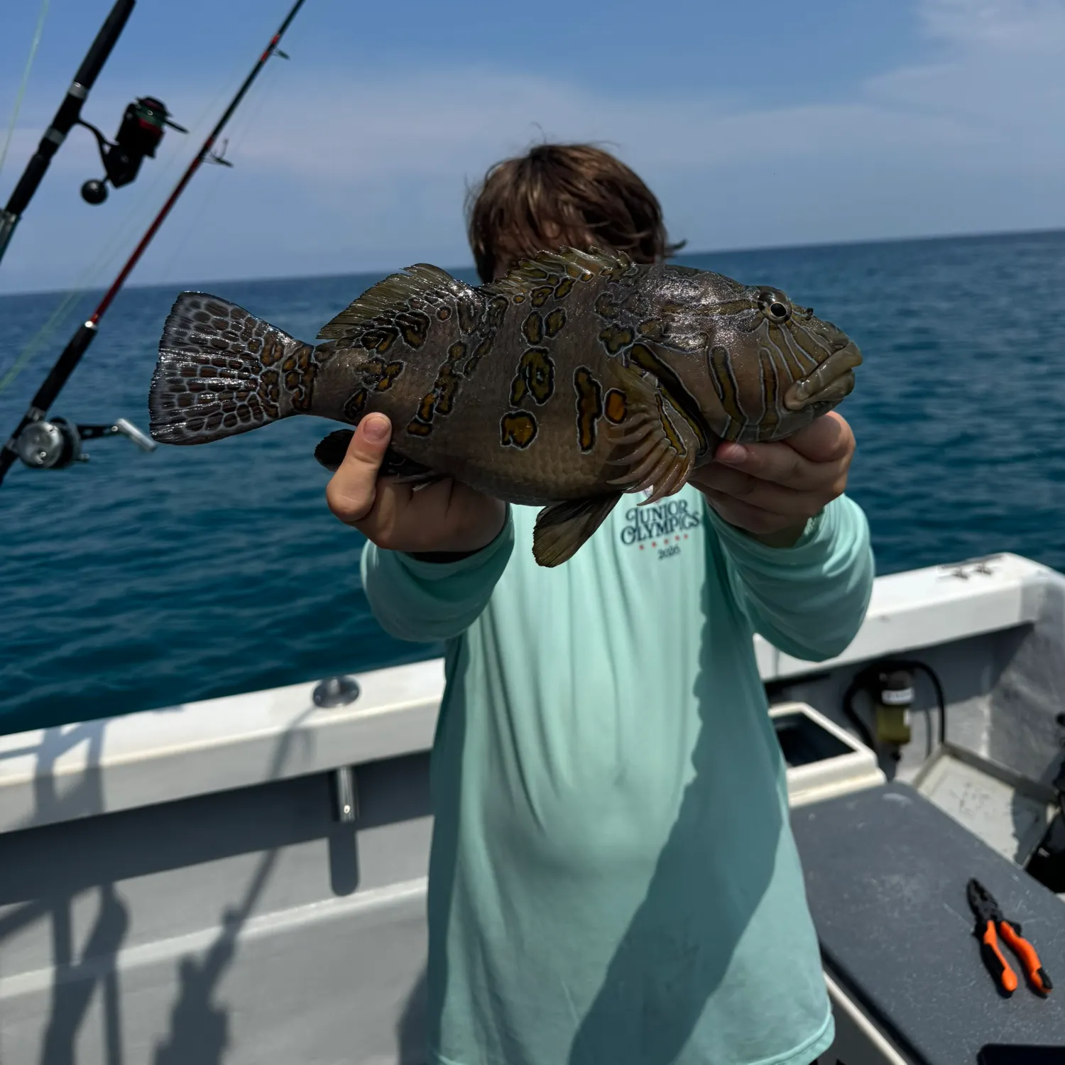 The most recent Stocky hawkfish catches on Fishbrain