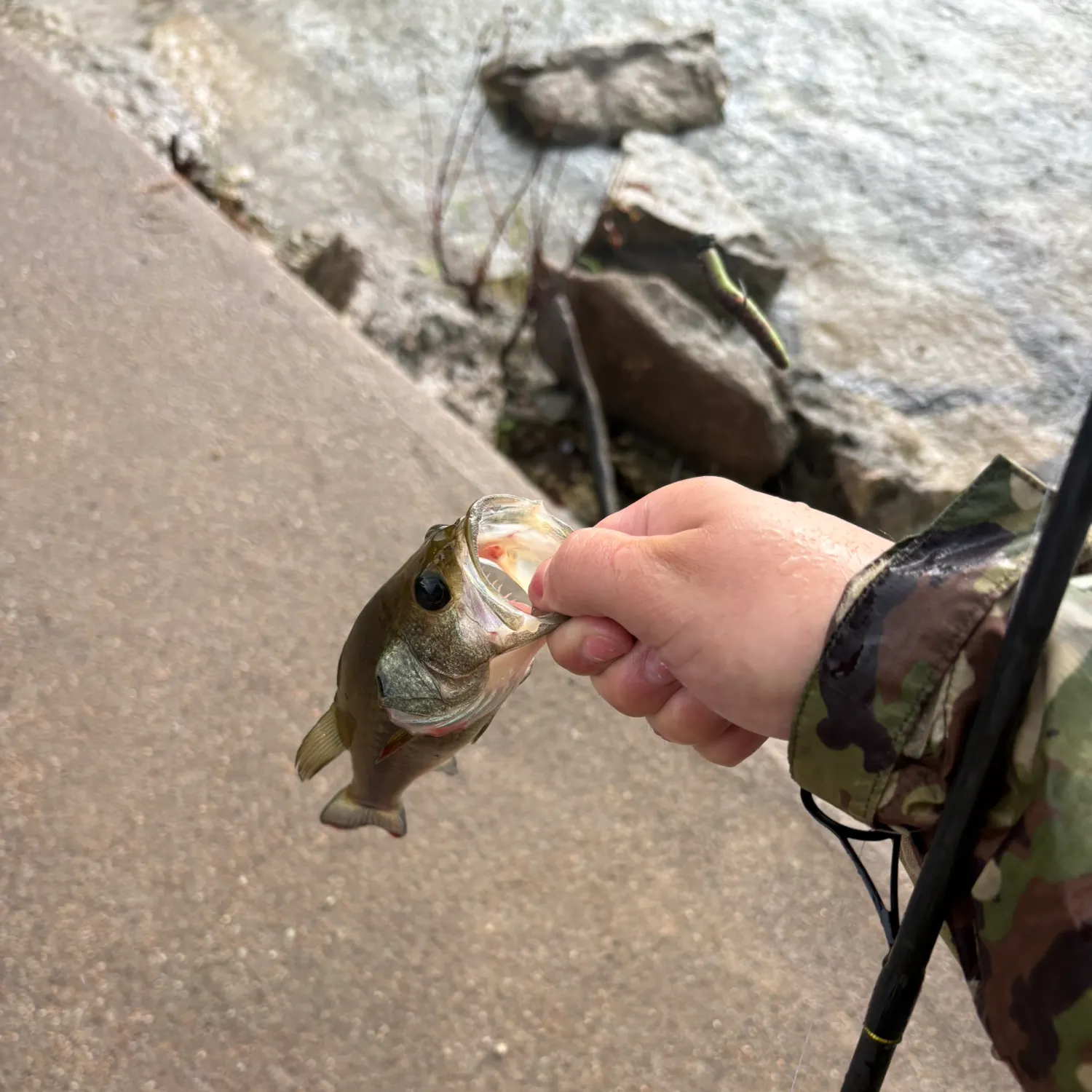 catch
