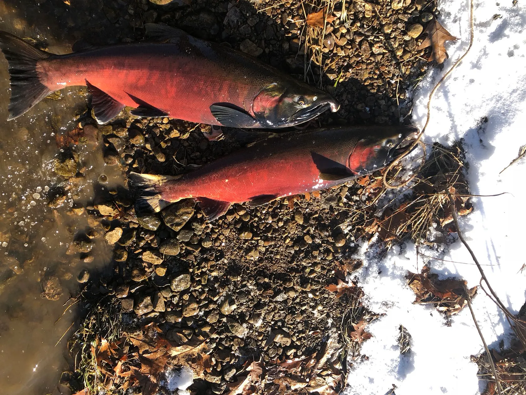 Post image from mluna7498