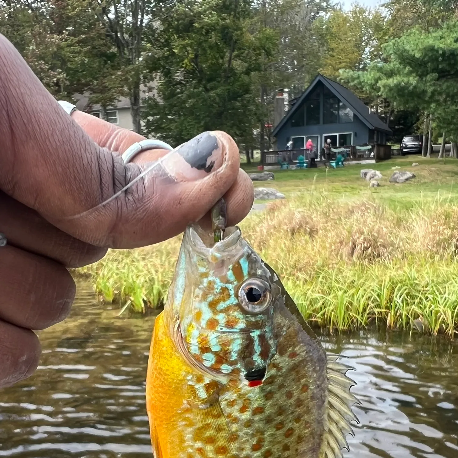catch