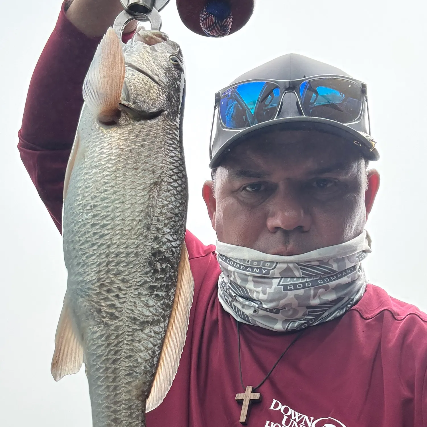 The most recent Red drum catches on Fishbrain