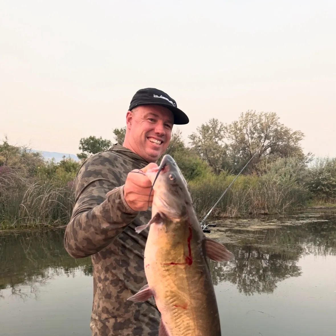 Channel catfish caught on Fishbrain