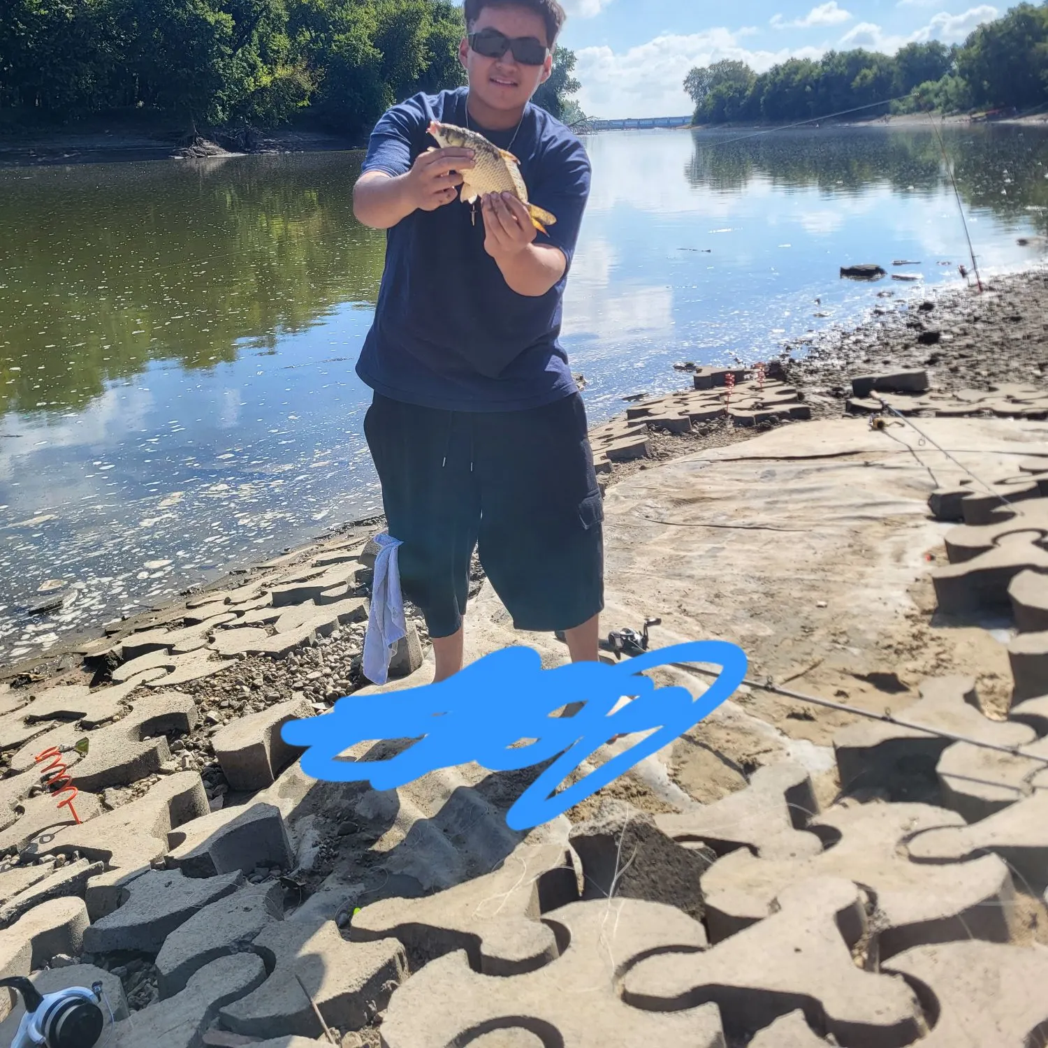 Common carp caught on Fishbrain