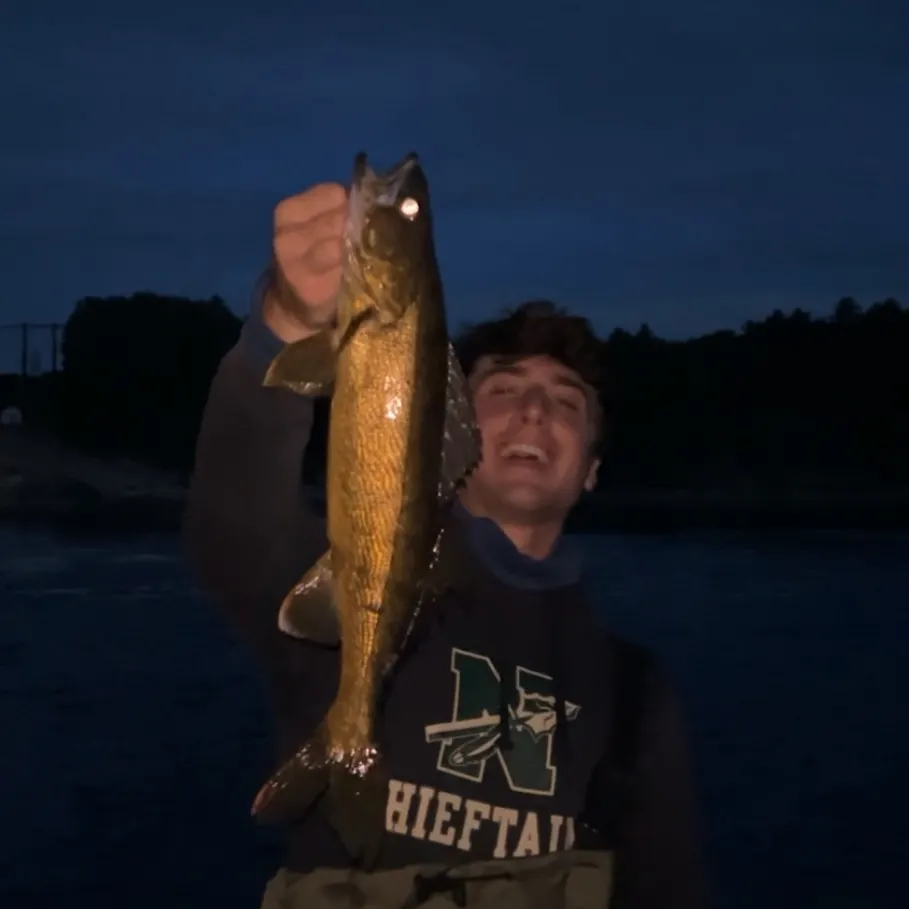 Walleye caught on Fishbrain