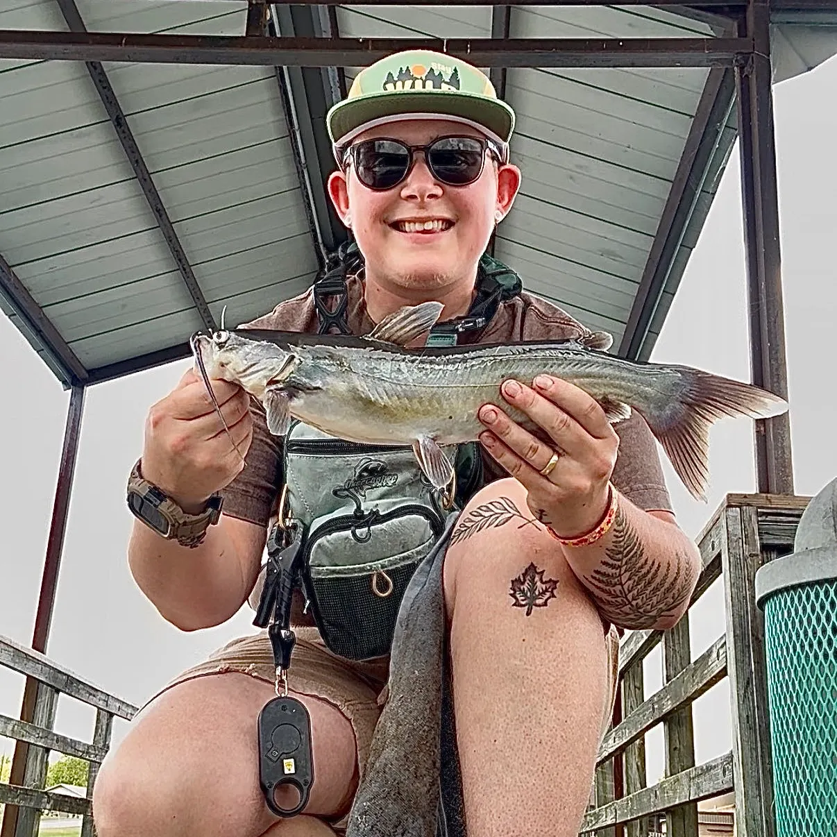Channel catfish caught on Fishbrain