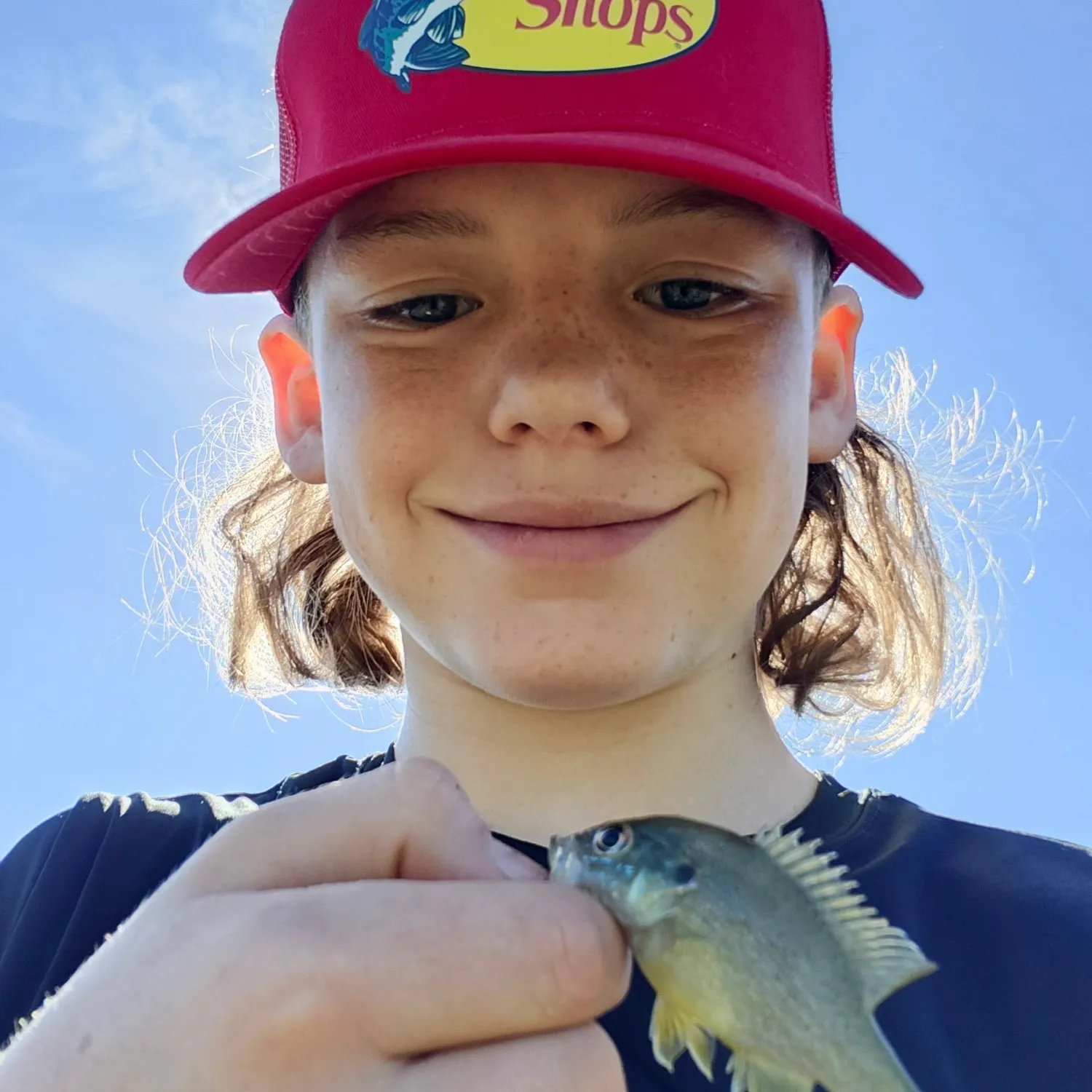 Bluegill caught on Fishbrain