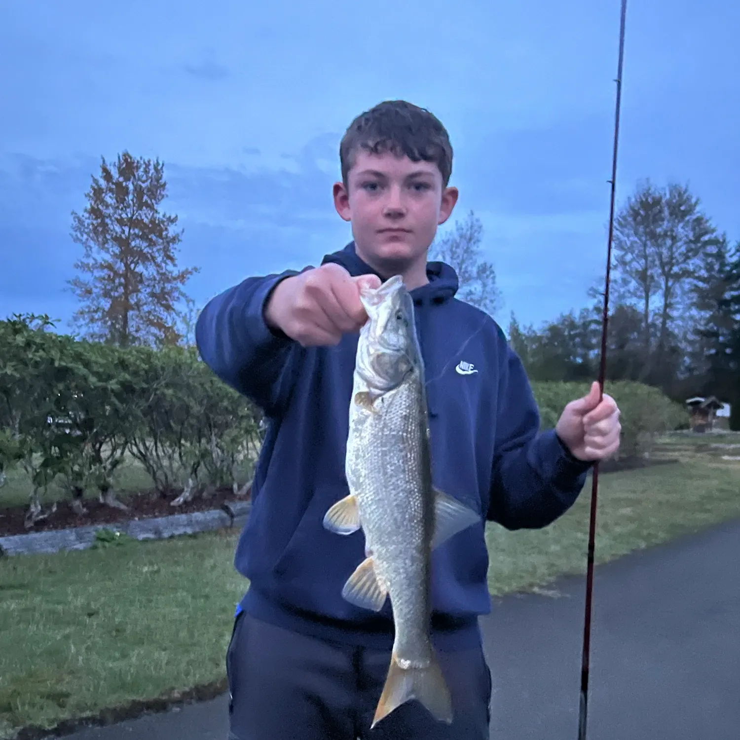 Northern pikeminnow caught on Fishbrain