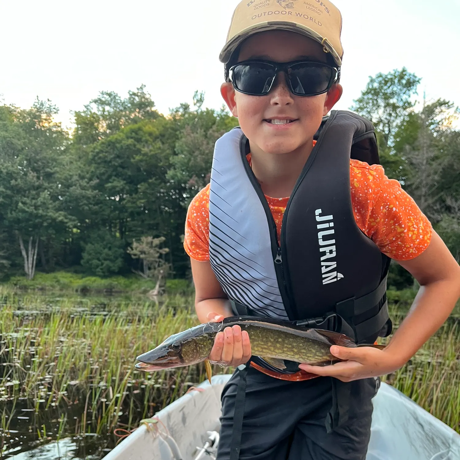 Chain pickerel caught on Fishbrain