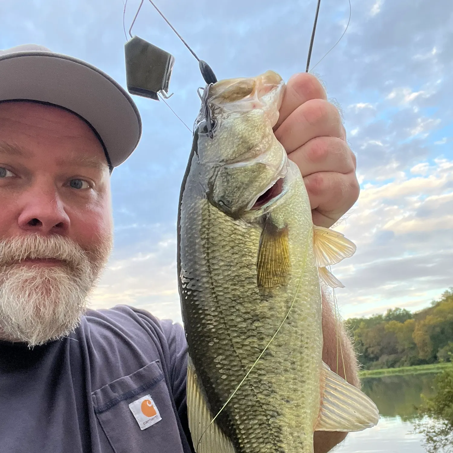 Largemouth bass caught on Fishbrain