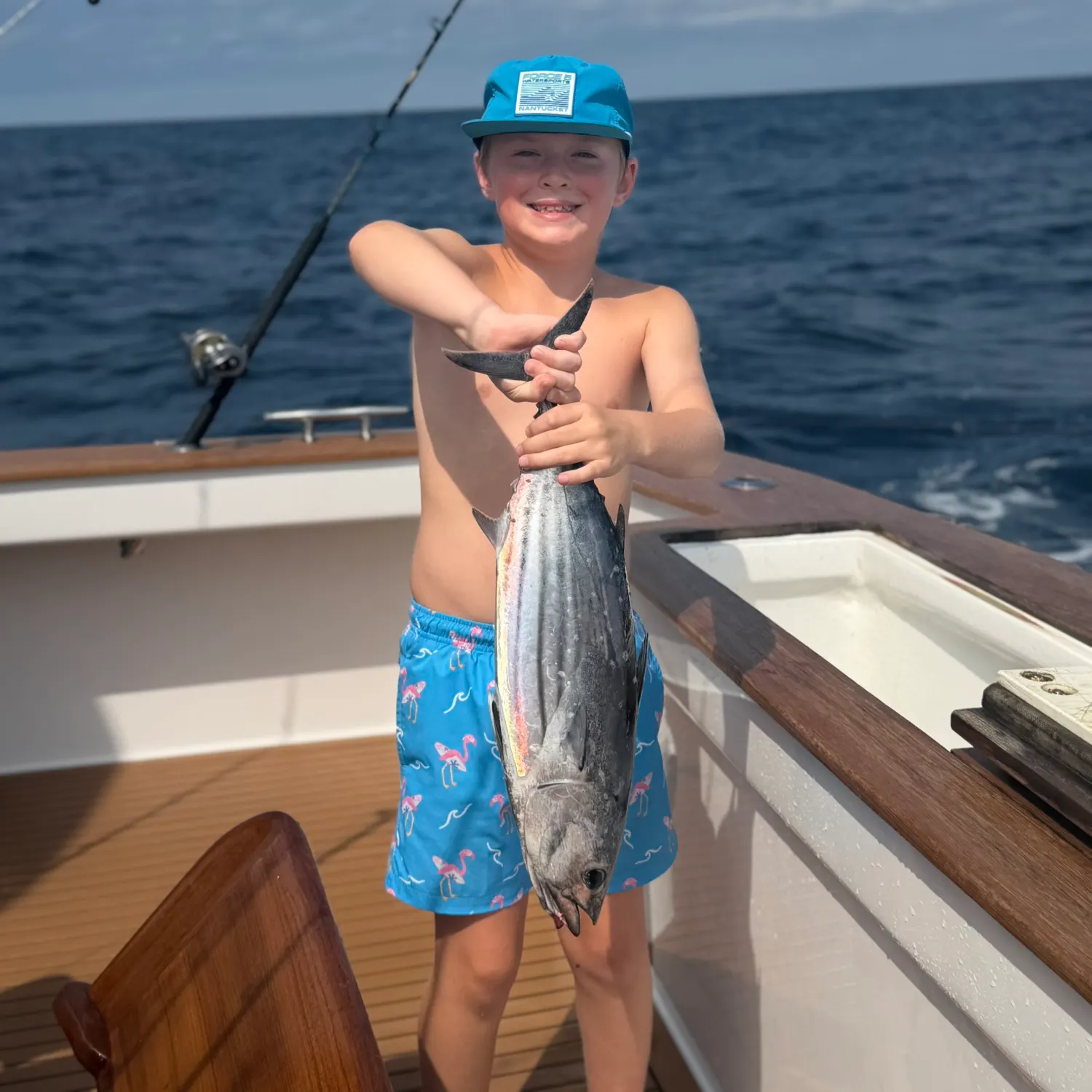 Skipjack tuna caught on Fishbrain
