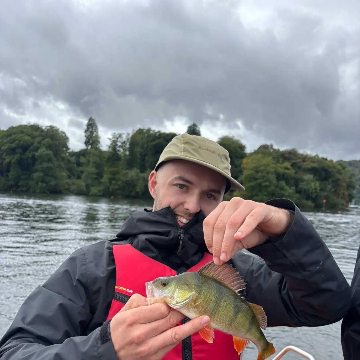 European perch caught on Fishbrain