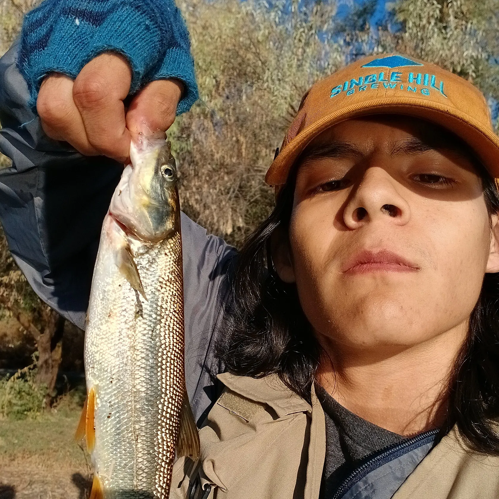 Northern pikeminnow caught on Fishbrain