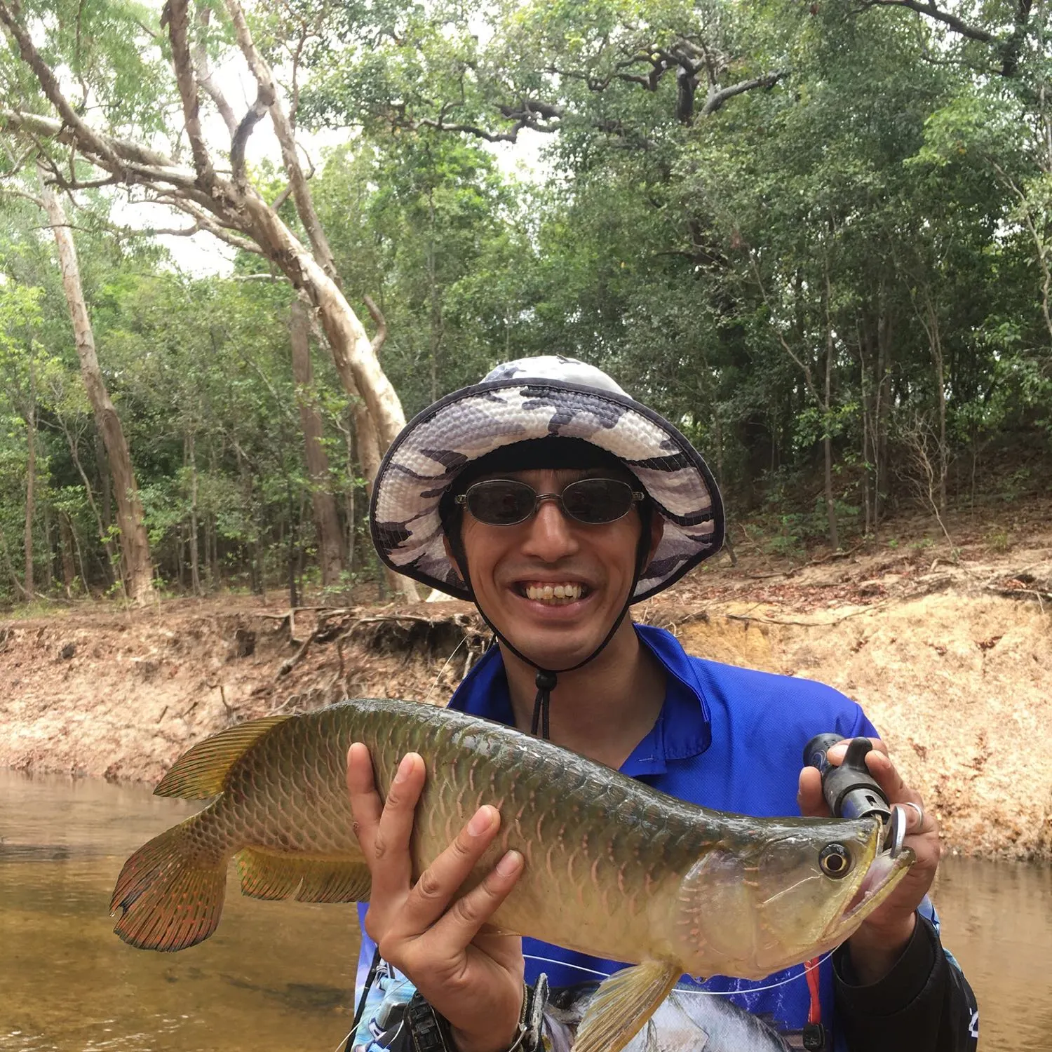 Spotted bonytongue caught on Fishbrain