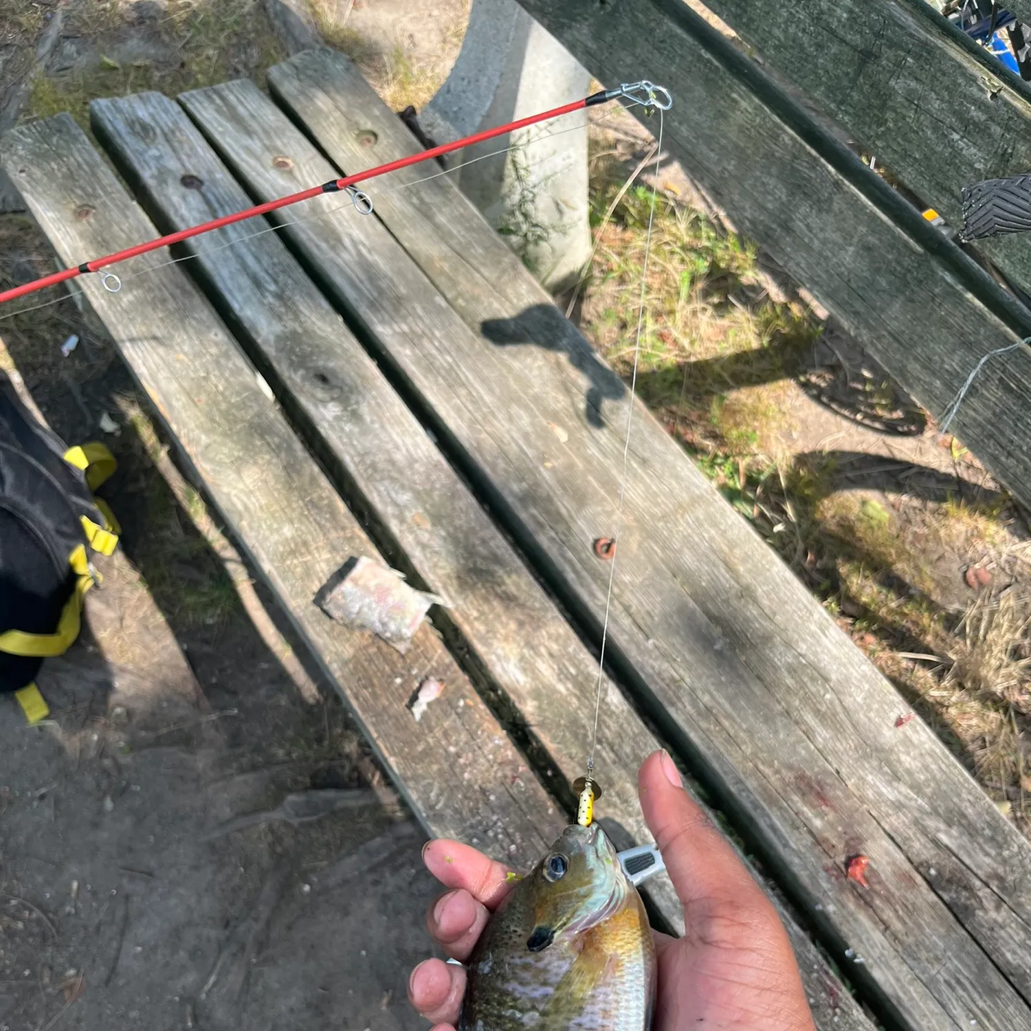catch