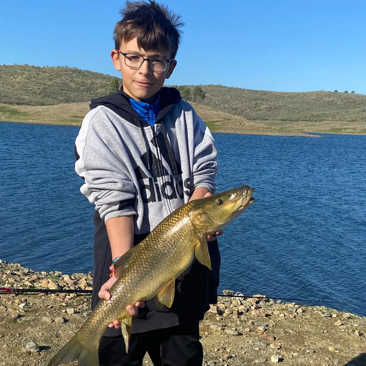 The most recent Common barbel catches on Fishbrain