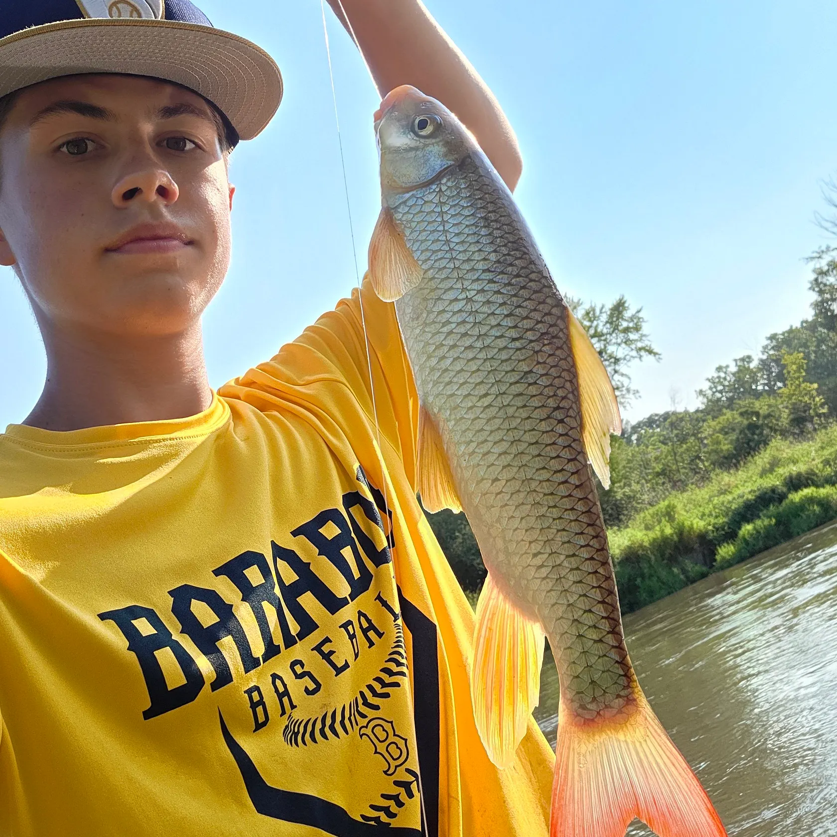 The most recent Shorthead redhorse catches on Fishbrain