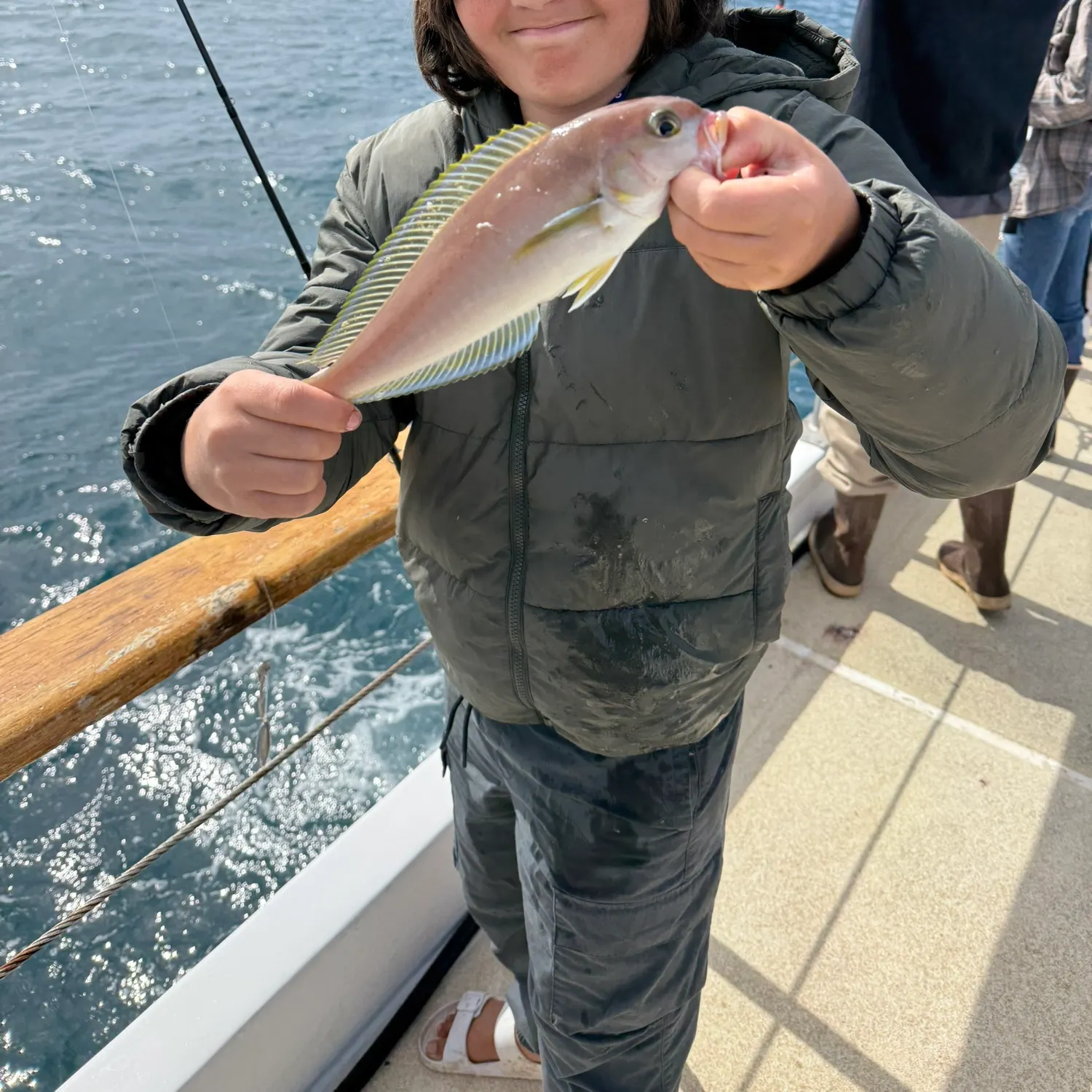 The most recent Ocean whitefish catches on Fishbrain