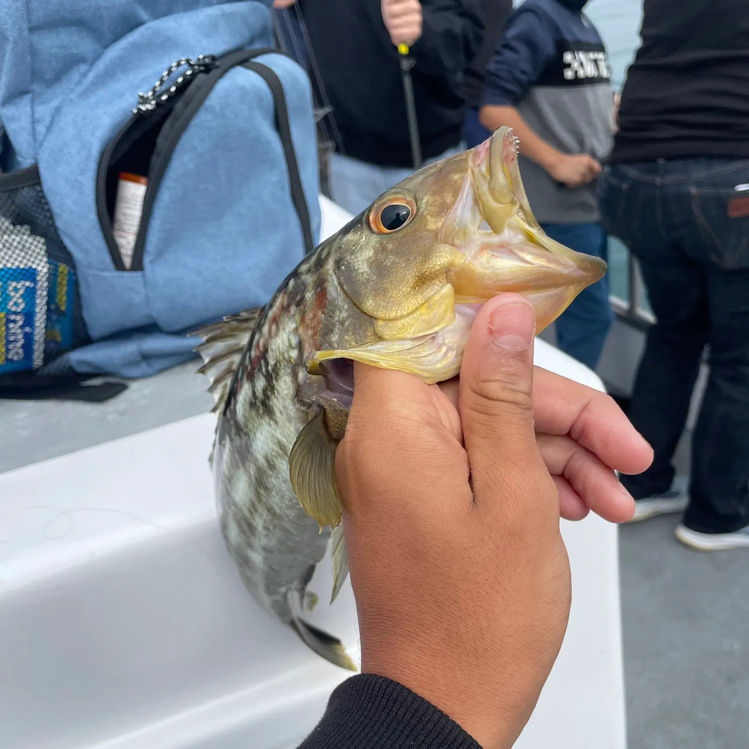 catch