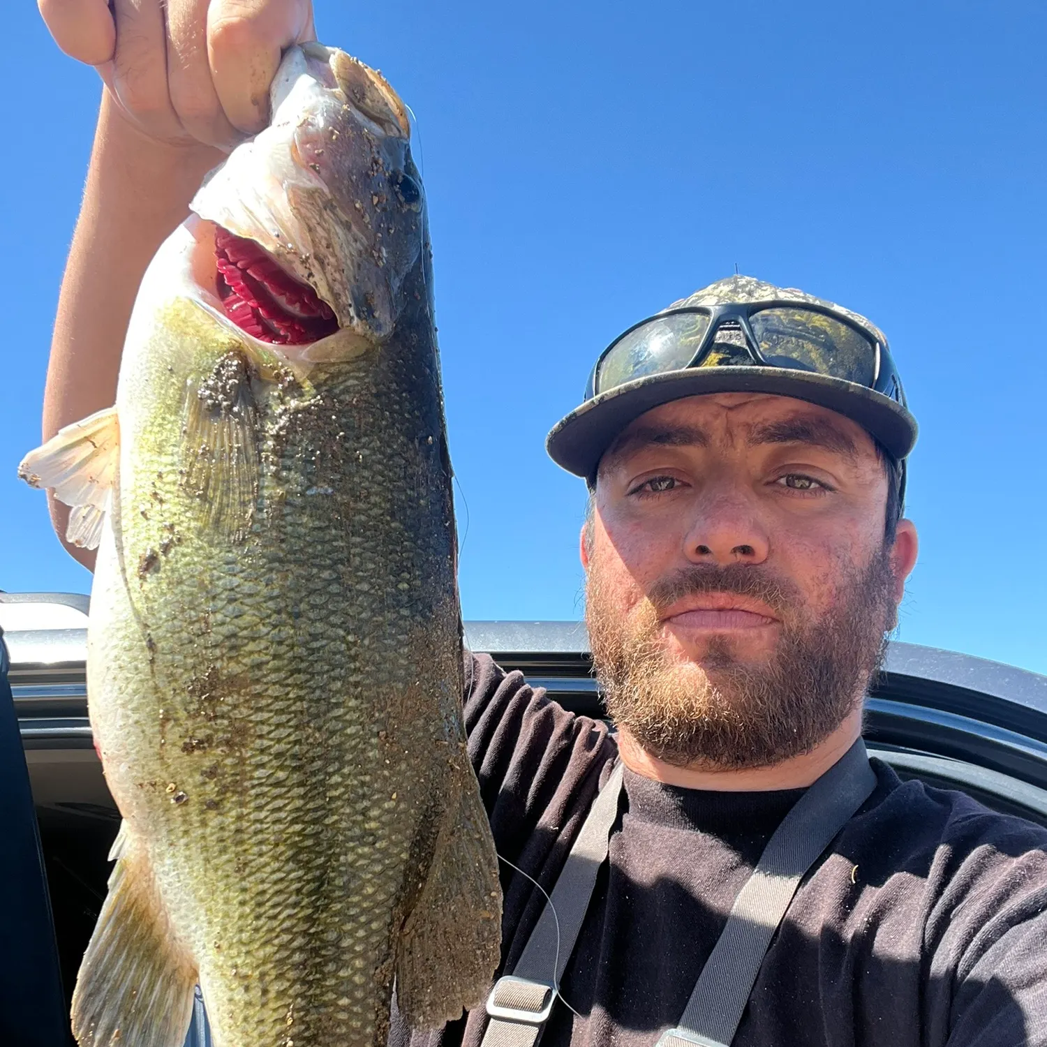 Spotted bass caught on Fishbrain